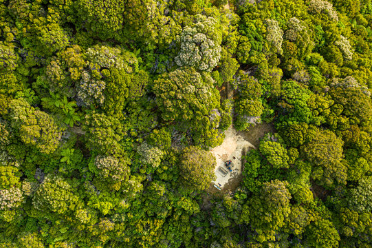 Aerial view of lush woodland forms, Picnic, Punga Cove, Marlborough, New Zealand.