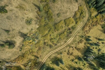 A dirt road winding through a dense forest seen from above.