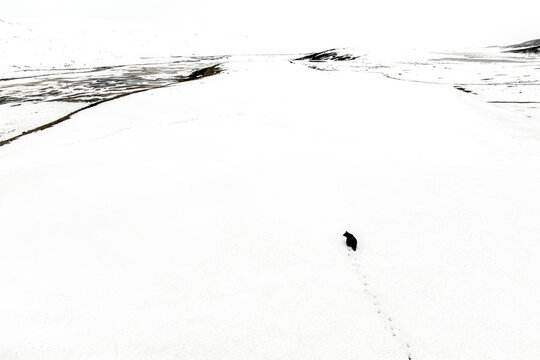 Aerial view of snow-covered Deosai National Park, Bear Isabelle, Gilgit-Baltistan, Pakistan.