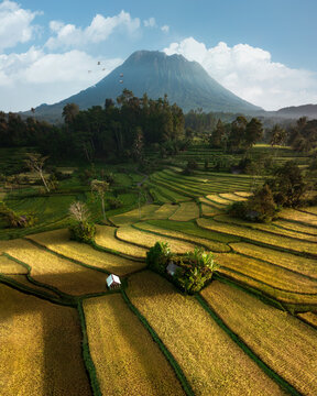 Aerial view of rice terraces in Sidemen Valley, Selat, Bali, Indonesia.
