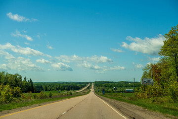 Fototapeta premium road in the forest