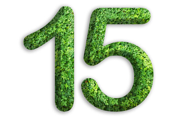 3d of the number of 15 is made from green grass on white background, go green concept
