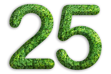 3d of the number of 25 is made from green grass on white background, go green concept