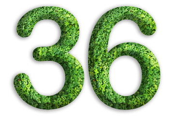 3d of the number of 36 is made from green grass on white background, go green concept