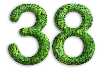 3d of the number of 38 is made from green grass on white background, go green concept