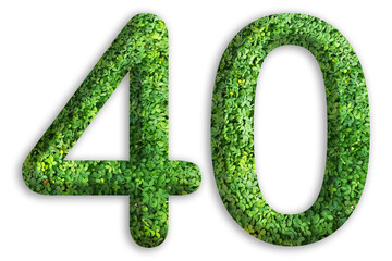 3d of the number of 40 is made from green grass on white background, go green concept
