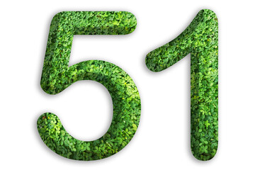 3d of the number of 51 is made from green grass on white background, go green concept