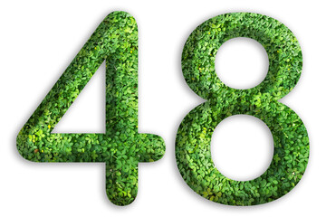 3d of the number of 48 is made from green grass on white background, go green concept