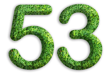 3d of the number of 53 is made from green grass on white background, go green concept