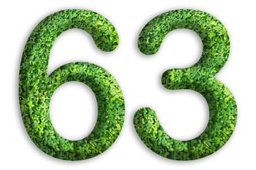 3d of the number of 63 is made from green grass on white background, go green concept