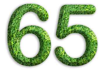 3d of the number of 65 is made from green grass on white background, go green concept