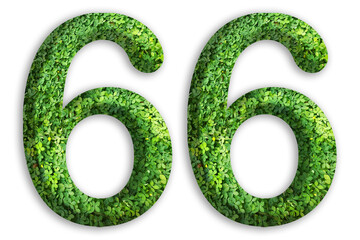 3d of the number of 66 is made from green grass on white background, go green concept