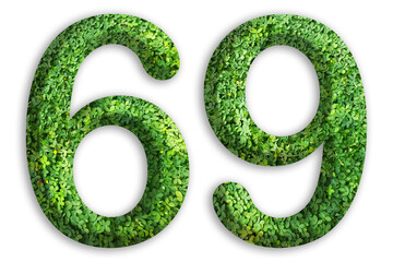 3d of the number of 69 is made from green grass on white background, go green concept