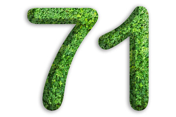 3d of the number of 71 is made from green grass on white background, go green concept