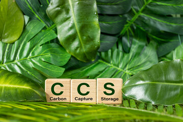 Symbol CCS  for Carbon Capture Storage words CCS on a wood cube on the environmental background. ...