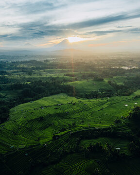 Aerial view of beautiful ricefields in Penebel, Bali, Indonesia.