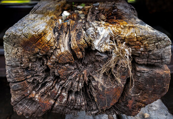 texture of wood with cracks and rotted by weather and time, was used to build railways track