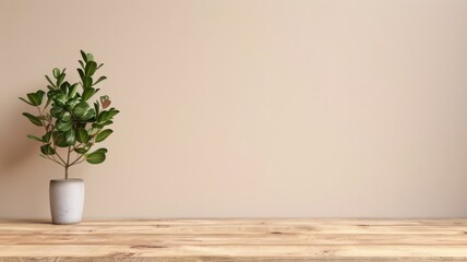 Minimalist Potted Green Plant on Light Wooden Surface Against Soft Beige Wall.