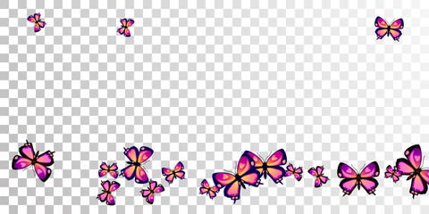 Exotic purple butterflies isolated vector illustration. Spring little insects.