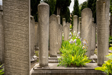 Historic Graveyard Near Hurrem Sultan Tomb in Istanbul with Ornate Headstones and Blooming Flowers - Peaceful and Cultural Heritage