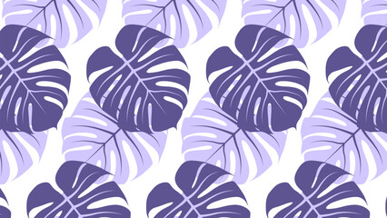 Seamless pattern with monstera leaves on a white background