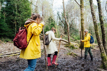 Group of friends walking through muddy trail with backpacks in forest. Trekking travel in adventure lifestyle, nature hiking in vacation holiday with journey. Tourism, hiking, and friendship concept. © okrasiuk
