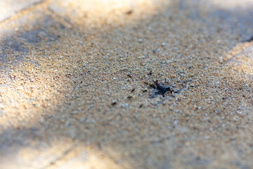 Close-Up of Sandy Texture with Shadows in Natural Sunlight - Abstract Background Concept for Outdoor Nature Themes