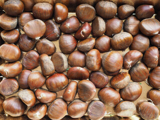 chestnuts food background