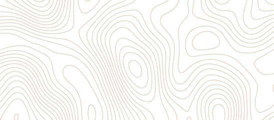 Abstract 3d wave paper curved reliefs background .gradient multicolor wave curve lines banner background design .3d topographic contours map background .Vector 3d geographic contour map.