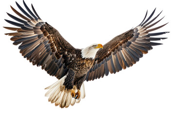 A majestic bald eagle with wings spread wide in flight,