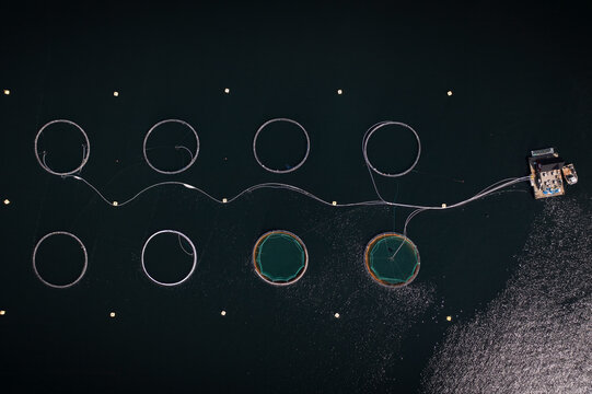 Aerial view of fish farm in Tveitnesvika, Maurangsfjorden, Mauranger, Vestland, Norway.