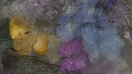 dreamy background with wild flowers frozen in ice 