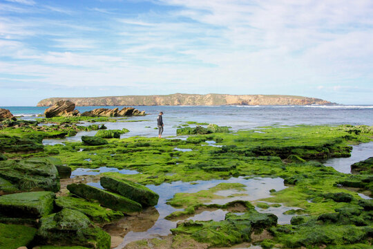 Island at low tide over green rocks