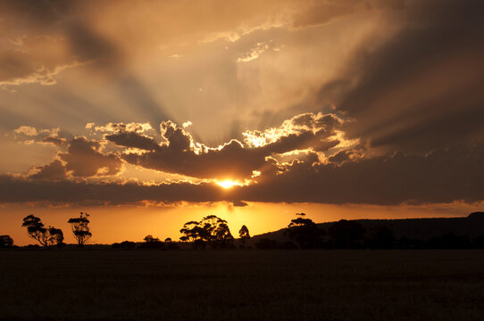 Orange Wimmera Sunset over paddock