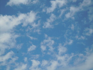 Cielo