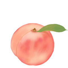 healthy, fruit, peach, organic, pink, white, tasty, cute, red, fresh ,drawing