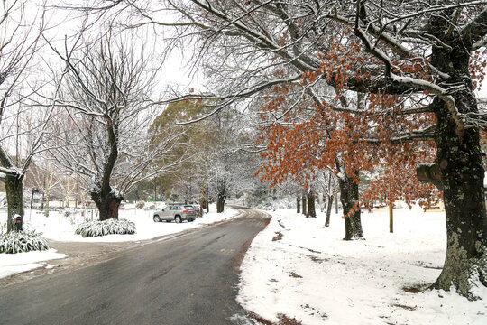 Snowy landscape in Yetholme, New South Wales after snow fall