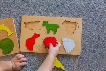 Kid playing on floor fitting wooden animal puzzle pieces into board
