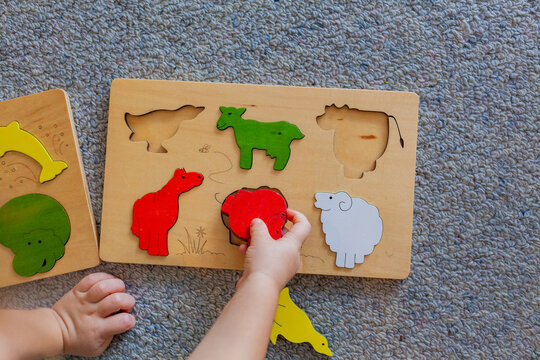 Kid playing on floor fitting wooden animal puzzle pieces into board