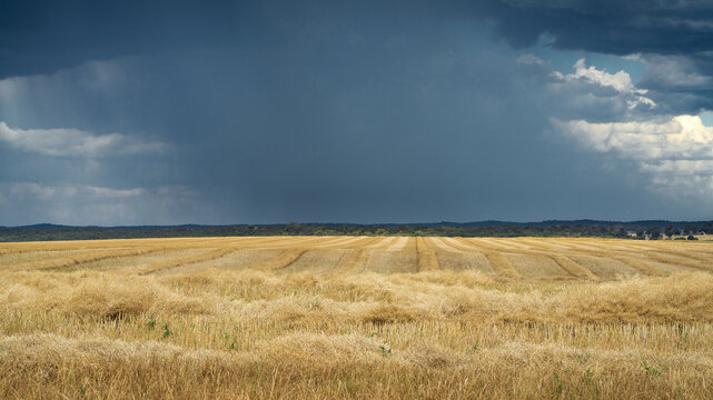 Heavy rain falling from a dark sky over a dry paddock harvested into rows