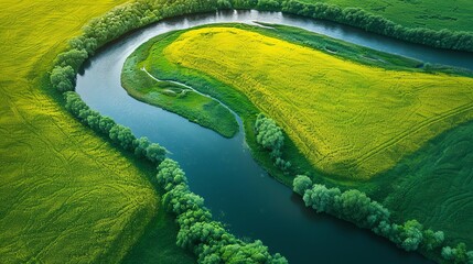 Aerial view of a winding river through vibrant yellow fields and lush greenery