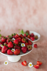 Świeże truskawki na różowym tle w toczeniu stokrotek. 