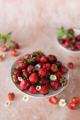 Świeże truskawki na r&oacute;żowym tle w toczeniu stokrotek. 