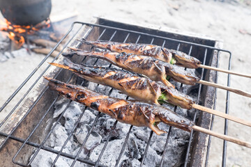 Cooking bunch of delicious skewered homegrown or farm-raised catfishes over burning charcoals using portable aluminium grilling stove outdoor. Selective focus. Copy space.
