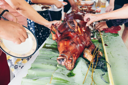 Hands getting a piece of the crispy skin of the popular and delicious whole roasted pig known as "lechon baboy" or "lechon de leche" placed on banana leaves on the table. Selective focus. Copy space.