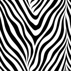 Monochrome Zebra Stripe Design  © Mrchamnong