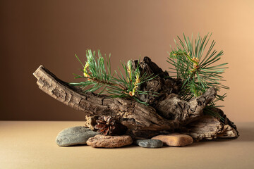 Abstract north nature scene with a composition of pine branches, stones, and dry snags.