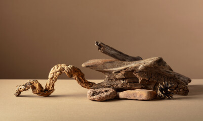 Abstract nature scene with a composition of stones and dry snags.