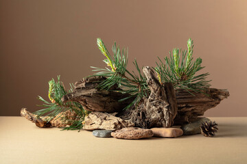 Abstract north nature scene with a composition of pine branches, stones, and dry snags.