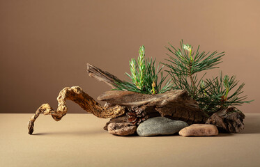 Abstract north nature scene with a composition of pine branches, stones, and dry snags.